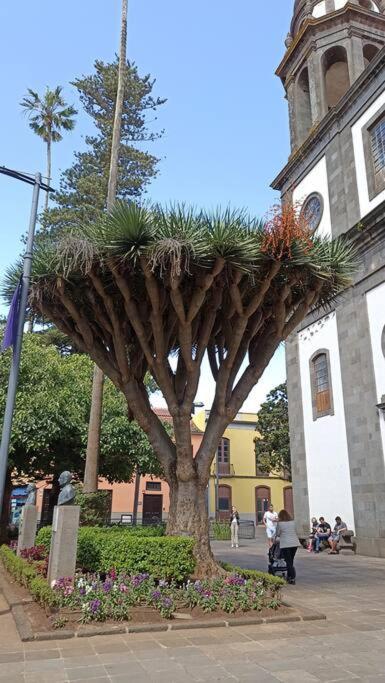Wagner - Beach - Appartement San Marcos (Tenerife) Exterior foto